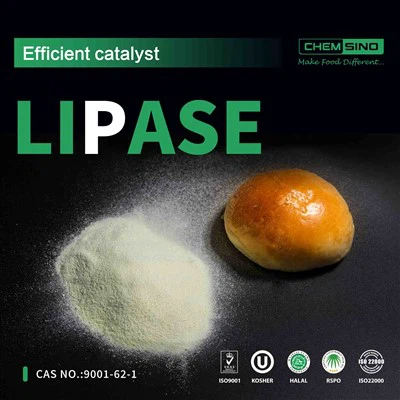 Alami Penghadaman yang Mudah Dengan Sokongan Enzim Lipase NO. CAS:9001-62-1