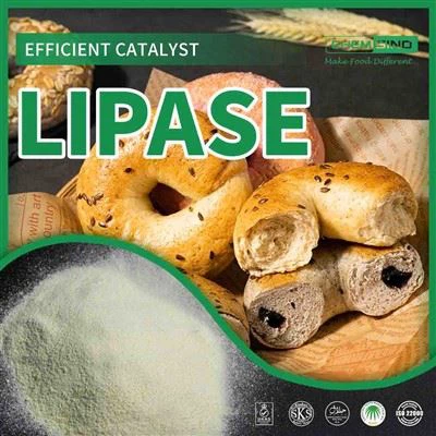 Lembut Pada Perut Anda, Perkasa Pada Pencernaan: Enzim Lipase NO. CAS:9001-62-1