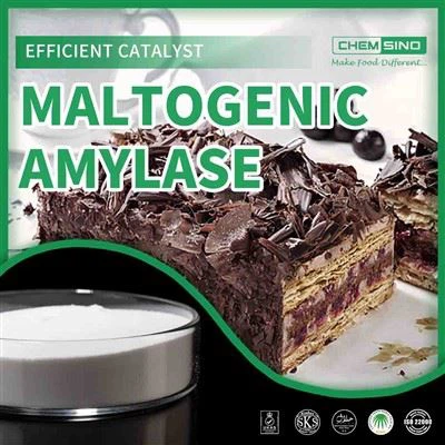 Maltogenic Amylase: Jurutera Perisa Di Sebalik Hidangan Terbaik Anda.CAS NO. 9000-92-4