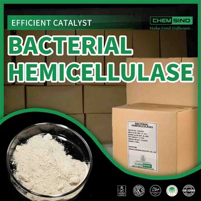 Pembekal hemiselulase yang boleh dipercayai yang menawarkan penyelesaian enzim pukal